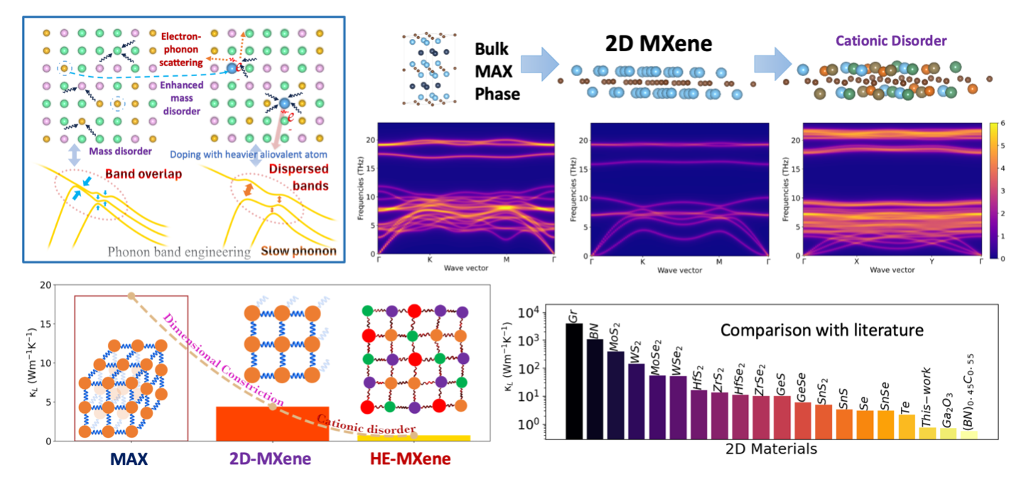 Crystal structures, phonon dispersions, and thermal conductivity comparisons